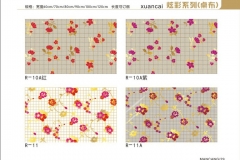 廊坊炫彩-图册10